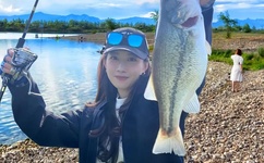 会长是女仆大人图片